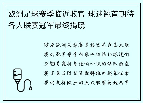 欧洲足球赛季临近收官 球迷翘首期待各大联赛冠军最终揭晓